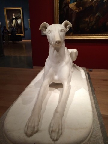 marbledoggy